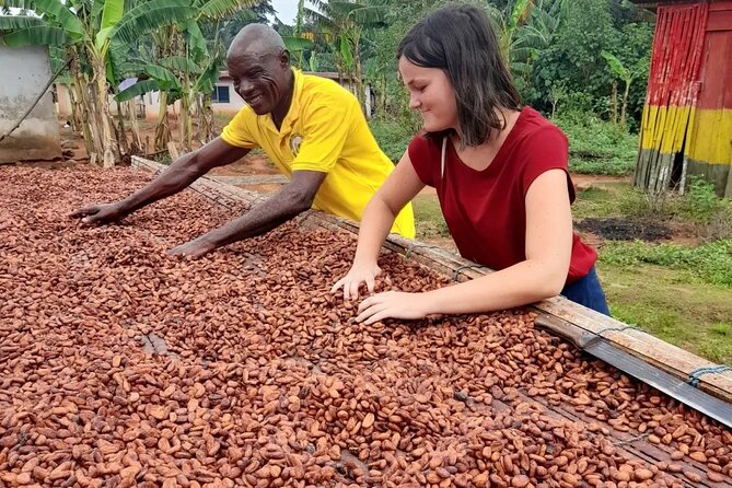 1 Day cocoa farm tour - From Cocoa Pod to Dried Bean