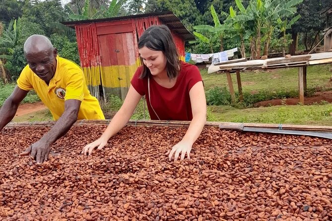 1 Day cocoa farm tour - Arriving in Asamankese