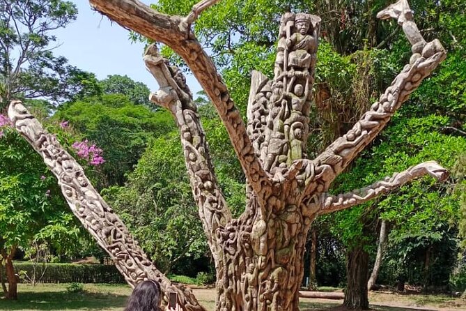 10 Day Ghana Adventure and Culture Tour - Mona monkeys, Kente cloth, and Wli Waterfalls