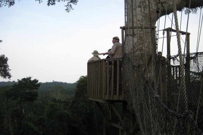 15-Day Ghana Wildlife Private Tour - Brenu Akyinim adds beach and open-country habitat