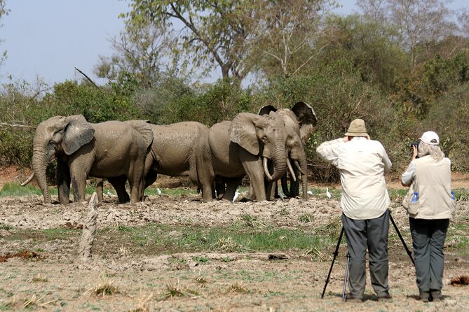 15-Day Ghana Wildlife Private Tour - Mole National Park brings the big mammals