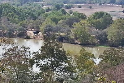 2 Days (1 night) Elephants Safari at Mole Park with Round – trip flights