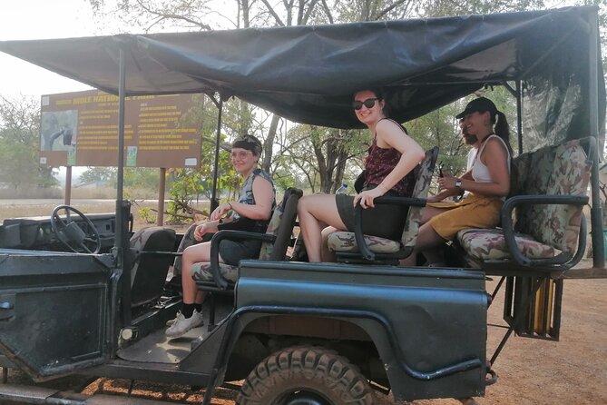 2 Days (1 night) Elephants Safari at Mole Park with Round - trip flights - A night inside Mole Park