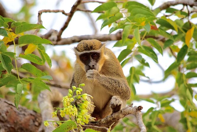 2Days private explore volta region - Leaving Accra for Akosombo at 7:30 a.m.