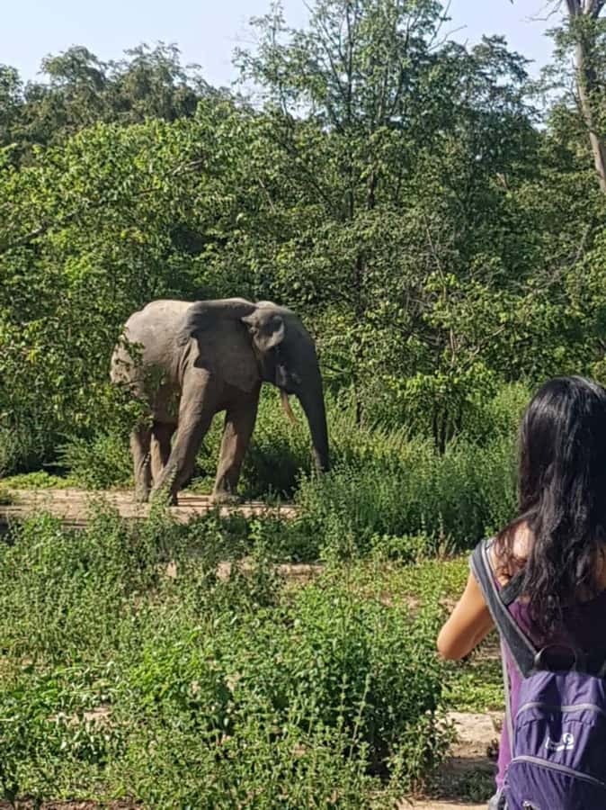 3 Days Elephant Safari at Mole Park with round trip flights - The two-hour road transfer to Mole