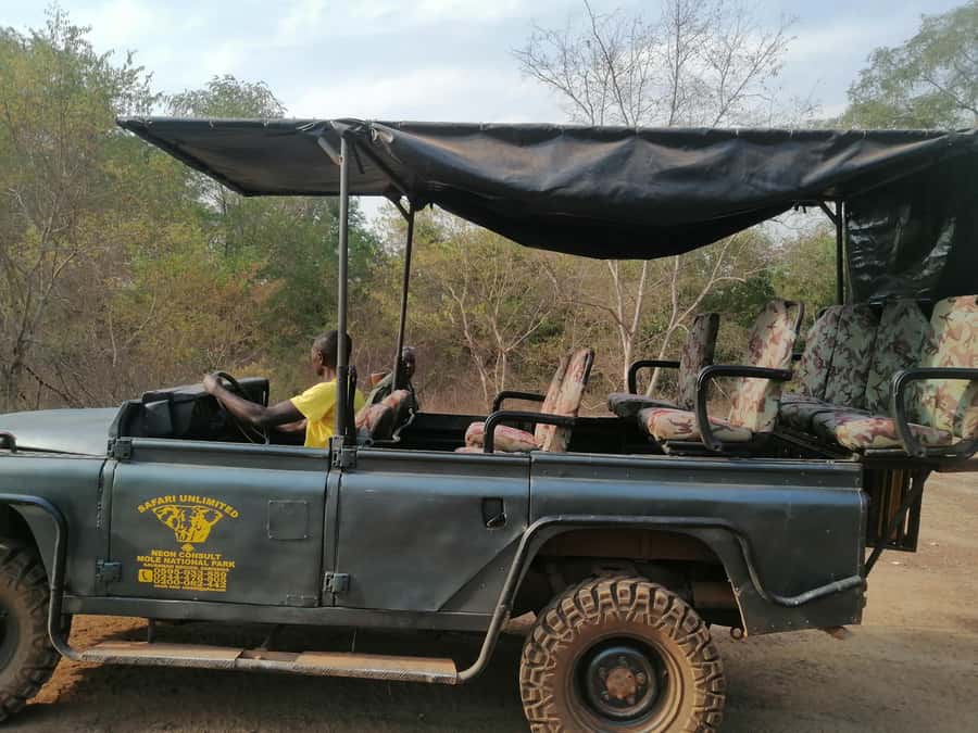3 Days Elephant Safari at Mole Park with round trip flights - Walking and driving through Mole National Park