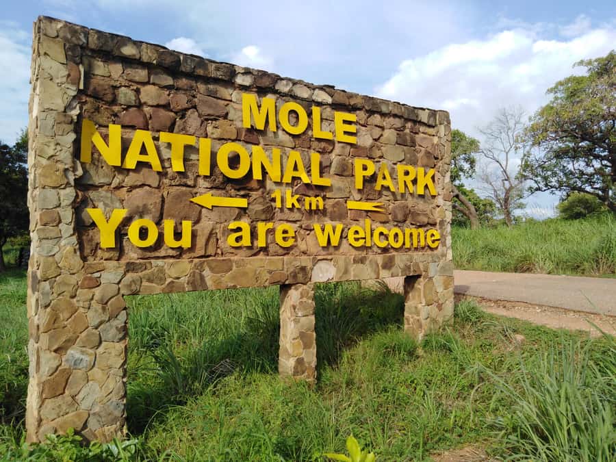 3 Days Elephant Safari at Mole Park with round trip flights - Seeing how shea butter is made