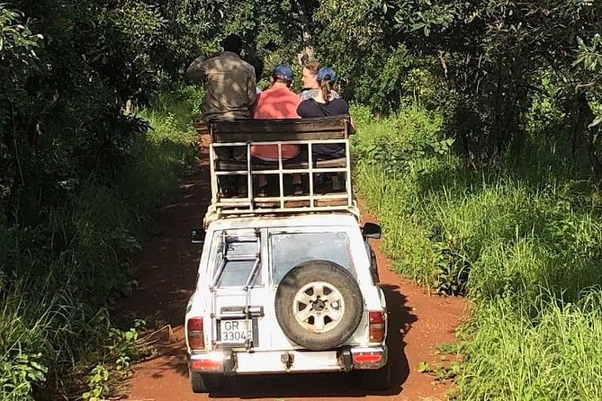 3 Days Sunrise Elephant Safari-Mole Park with -Round Trip Flight - Guides, private transport, and the human side