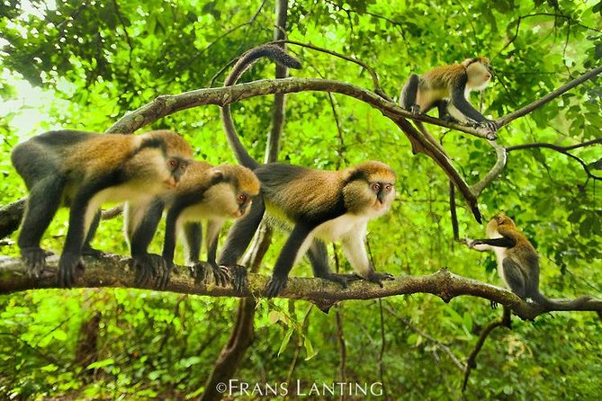 4 Days Cultural and Village Stay Experience - Why this four-day Ghana trip works