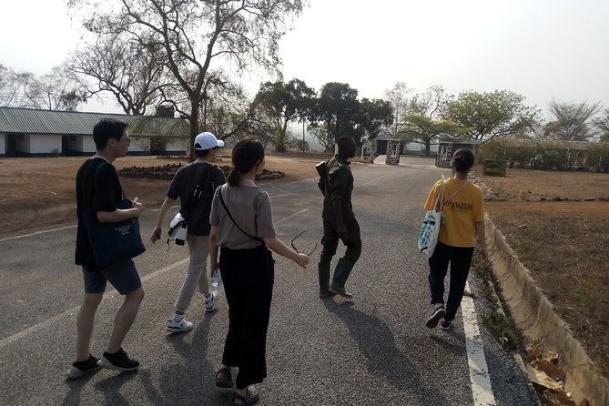5 Days Adventurous Wildlife Safari - Day 1: From Accra to Mole National Park