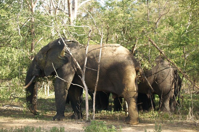 7days/6nights Eco Tourism - What $1,980 buys you across seven days