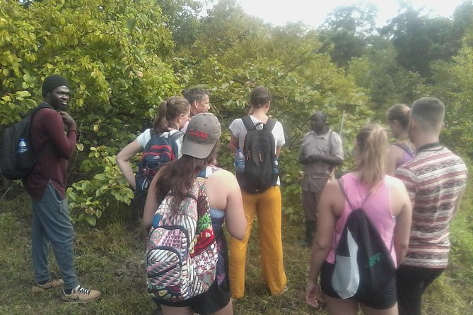 7days/6nights Eco Tourism - Bobiri Forest and two monkey sanctuaries