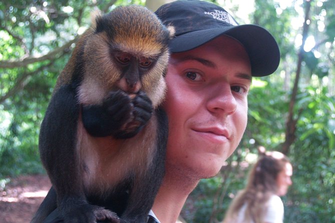 7days/6nights Eco Tourism - Monkeys, Mount Afadjato, and Wli Waterfalls
