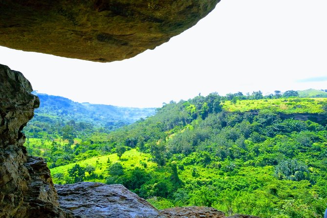 A Tour to Boti Falls - Finding the three-headed palm tree