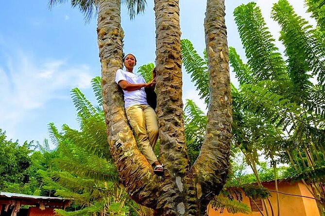 A Tour to Boti Falls - Should you book the Boti Falls tour?