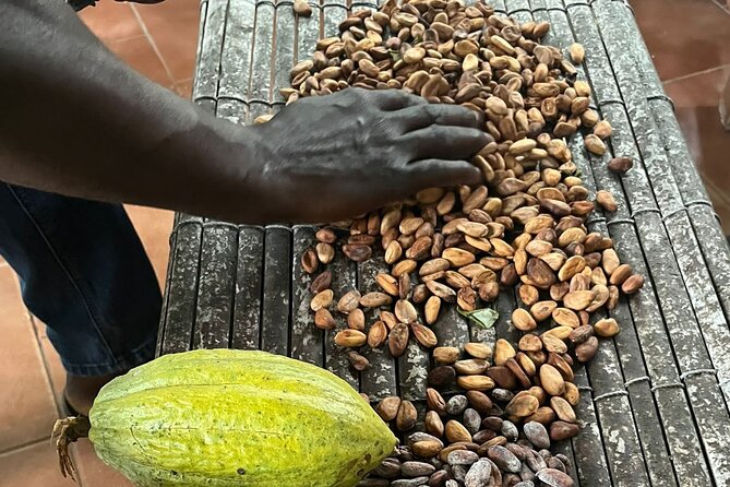 Aburi Botanic Gardens, Boti Falls,Umbrella Rock & Cocoa Farm Tour - Leaving Accra for Ghana’s Eastern Region