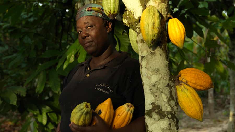 Accra Aburi Eco & Cocoa Experience: Gardens Waterfall &Lunch - From Accra to Ghana’s cocoa country