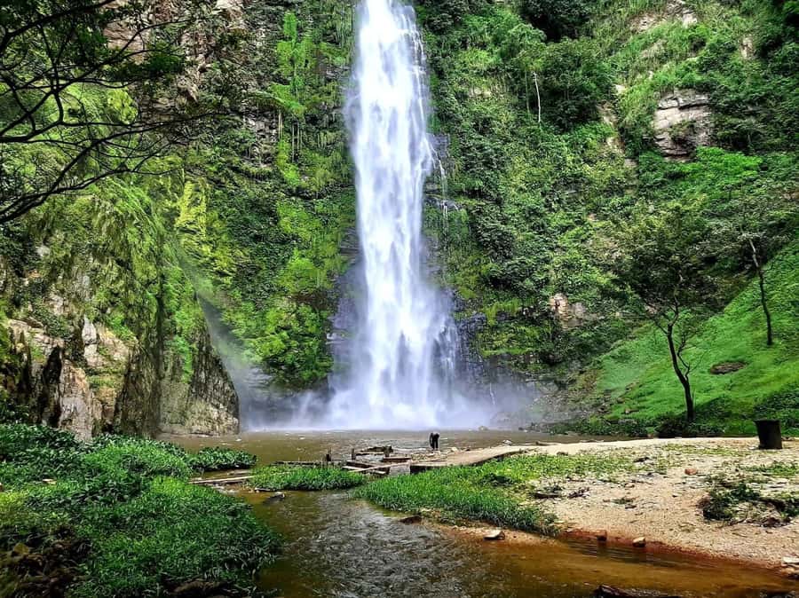 Accra: Tafi Kente Village, Monkey Sanctuary &Wli Waterfalls - How the guides affect the experience