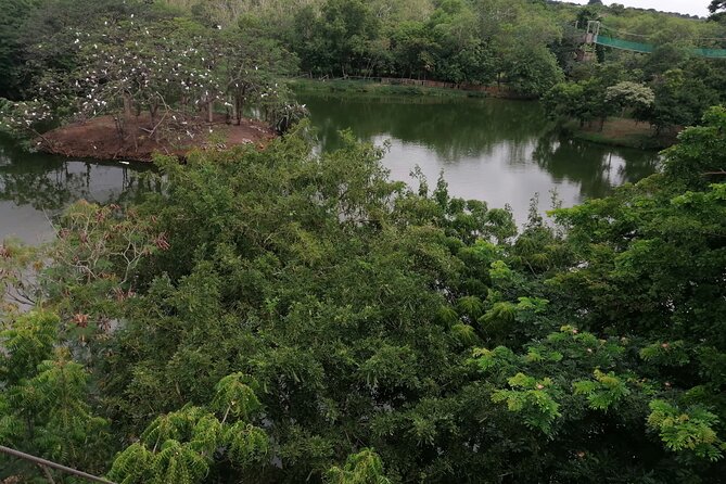 Accra Zoo, Canopy Walk and Botanical Gardens Private Tour - Why this half-day Accra outing works