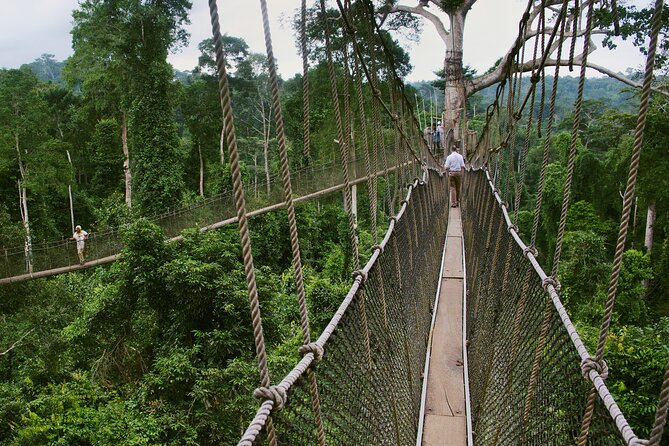 Assin Manso Slaves River and Cape Coast Castle Tour - Kakum’s canopy walk after the castle