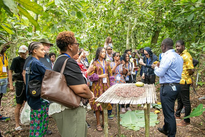 Boti Falls, Botanic Gardens, Cocoa Fam, Umbrella Rock Experience - Descending to Boti Falls
