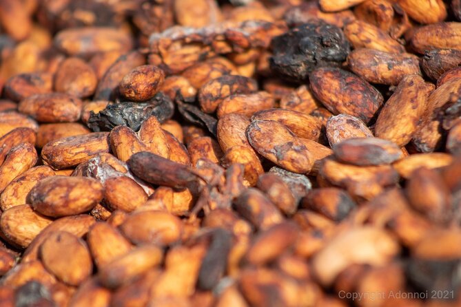 Boti Falls, Umbrella Rock, Aburi Gardens & Cocoa Farm Day Tour - Key points to know before you book