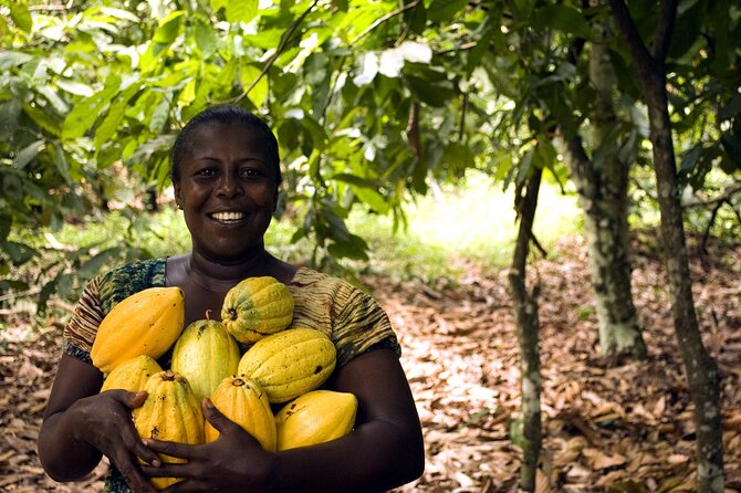 Boti Falls, Umbrella Rock, Aburi Gardens & Cocoa Farm Day Tour - Four eastern Ghana experiences in one long day