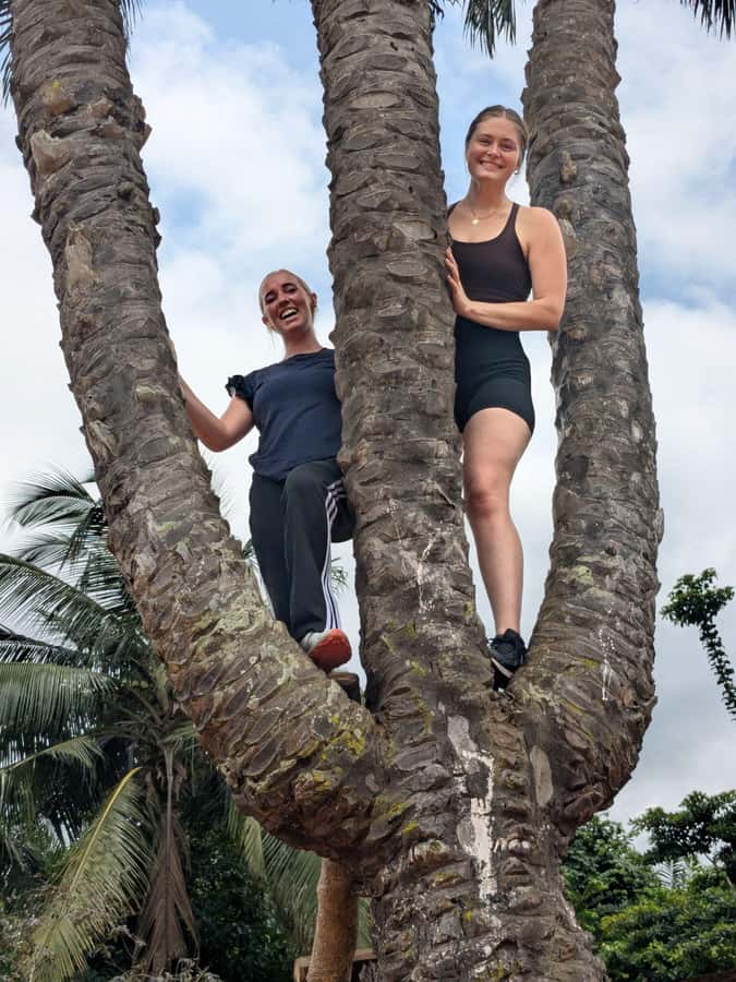 Boti Falls, Umbrella Rock, Aburi Gardens & Cocoa Farm Tour - Key points at a glance