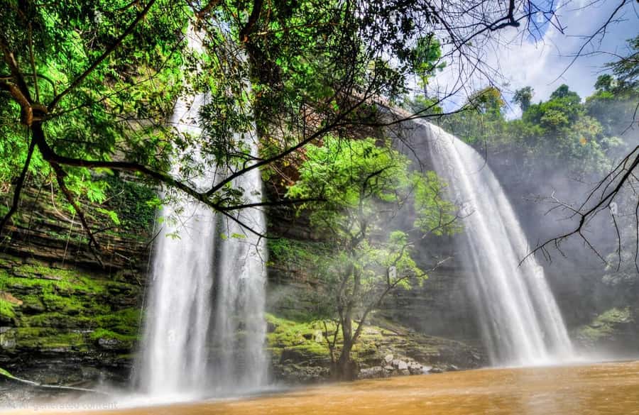 Boti Falls, Umbrella Rock, Aburi Gardens & Cocoa Farm Tour - Why this seven-hour trip works so well