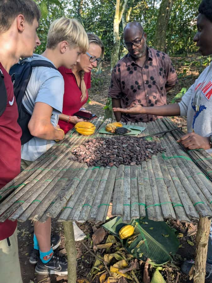 Boti Falls, Umbrella Rock, Aburi Gardens & Cocoa Farm Tour - Lunch, late timing, and the day’s rhythm