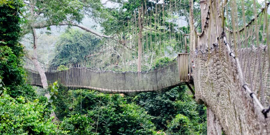 Cape Coast: Kakum National Park, Castles, & Hans Cottage - Why this Central Region day is worth your time