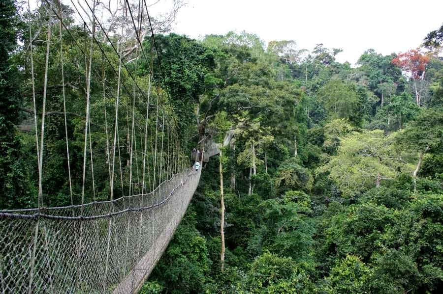 Cape Coast: Kakum National Park, Castles, & Hans Cottage - Cape Coast Castle, dungeons, and the hard history of the coast