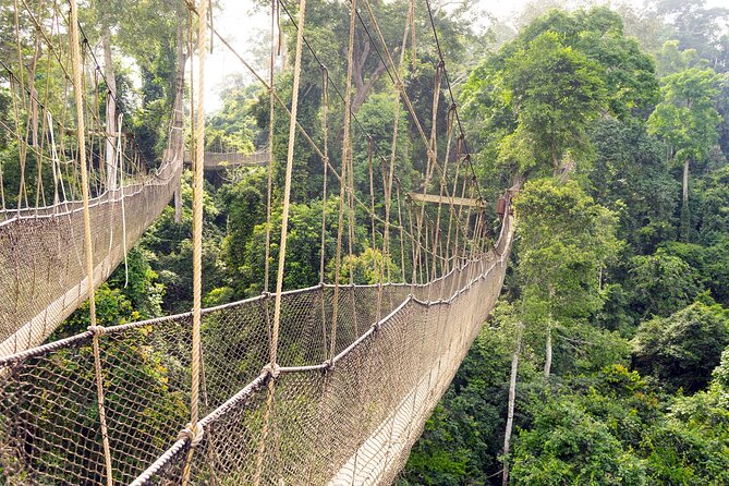 Day Tour to Kakum National Park, Cape Coast and Elmina Castles - Why this Ghana day tour works