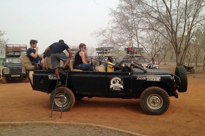 Day Tour To Mole - Exploring Mole National Park’s enormous territory