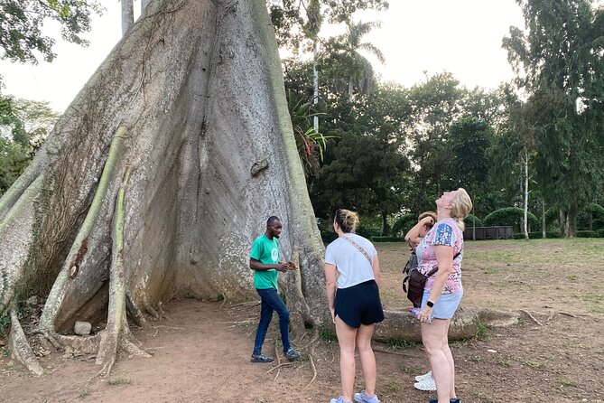 Day Trip Near Accra - Visit Aburi Gardens, Waterfall & Cocoa Farm - Five details that define this Aburi outing