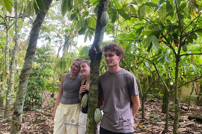 Day Trip Near Accra - Visit Aburi Gardens, Waterfall & Cocoa Farm - Who will enjoy this half-day trip most?
