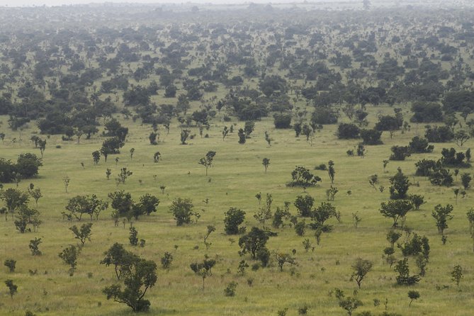Discover Nature at Shai Hills - A practical wildlife escape from Accra