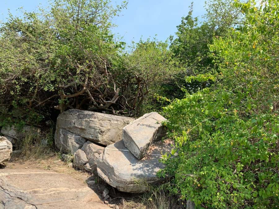 Discover Nature at Shai Hills - Adventure Full Day Trip - Key points to know before booking