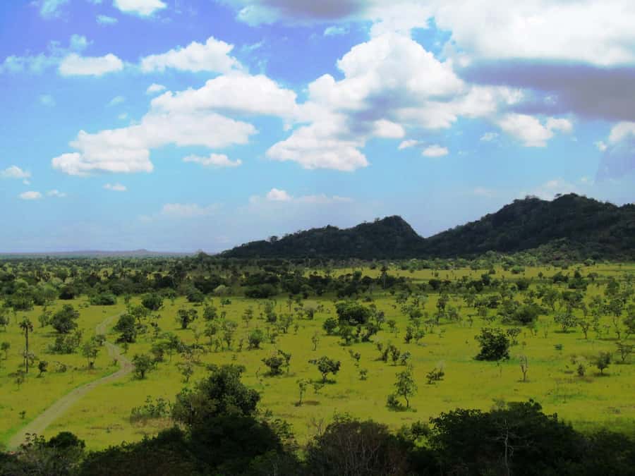 Discover Nature at Shai Hills - Adventure Full Day Trip - From Coconut Beach to the Shai Hills reserve