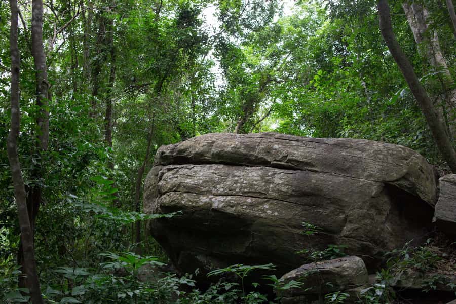Discover Nature at Shai Hills - Adventure Full Day Trip - Three hours of wildlife watching inside the reserve
