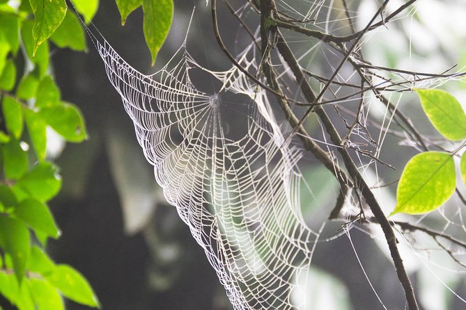 Escape Accra City to Aburi Gardens and Tetteh Quarshie Cocoa Farms - The private vehicle and timing