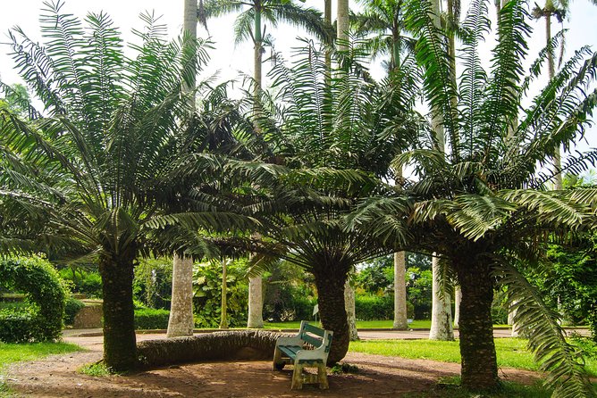 Escape Accra City to Aburi Gardens and Tetteh Quarshie Cocoa Farms - Is $170 per person fair?