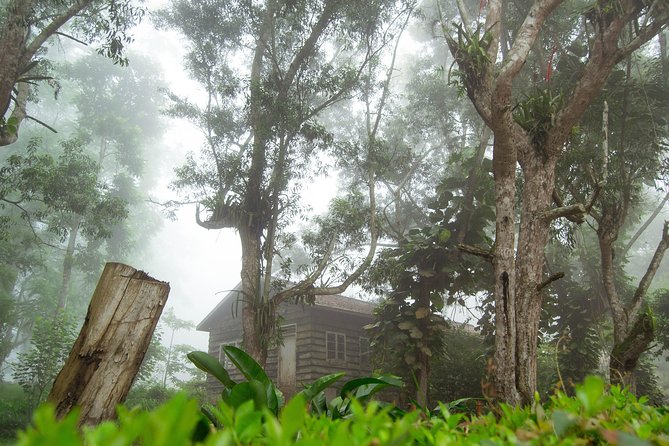Escape Accra City to Aburi Gardens and Tetteh Quarshie Cocoa Farms - Who should book this Accra day trip?