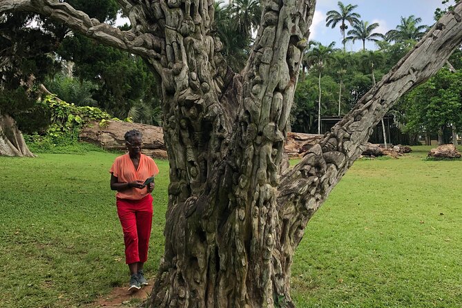 Experience Boti Waterfalls, Aburi Botanical Gardens & Tetteh Quarshie Cocoa Farm - Boti Waterfalls: The Day’s Big Challenge