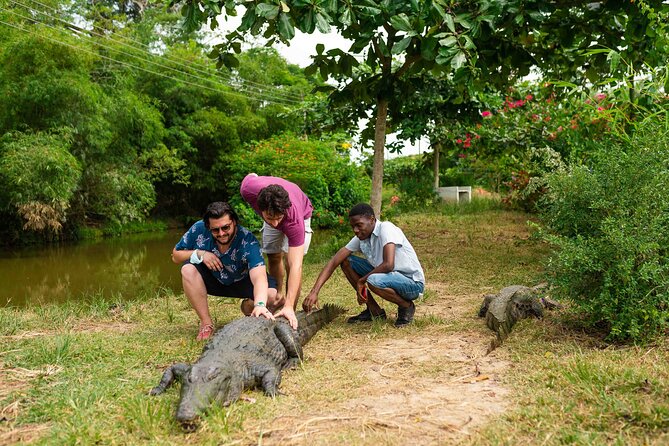 Experience Cape Coast Castle and Kakum National Park - Kakum National Park and seven bridges above the trees