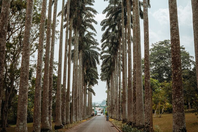 Explore Aburi Botanical Gardens And Boti Falls - Three nature stops in one long day
