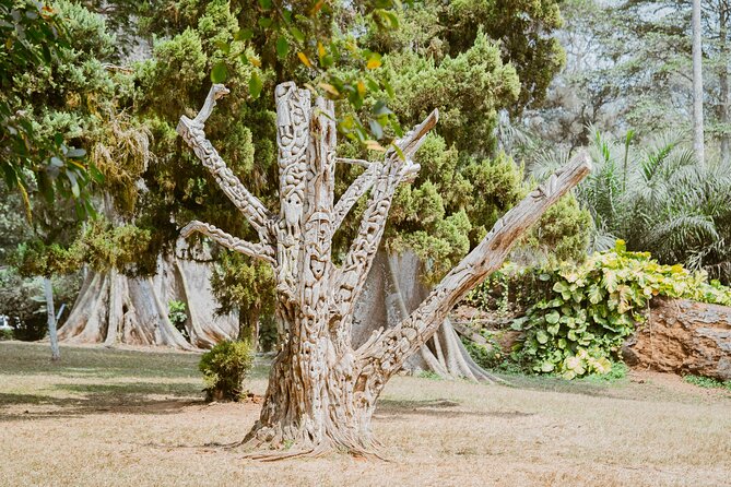 Explore Aburi Botanical Gardens And Boti Falls - Aburi Botanical Gardens for a quieter finish