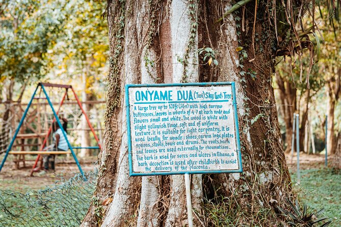 Explore Aburi Botanical Gardens And Boti Falls - Food, water, and what to bring