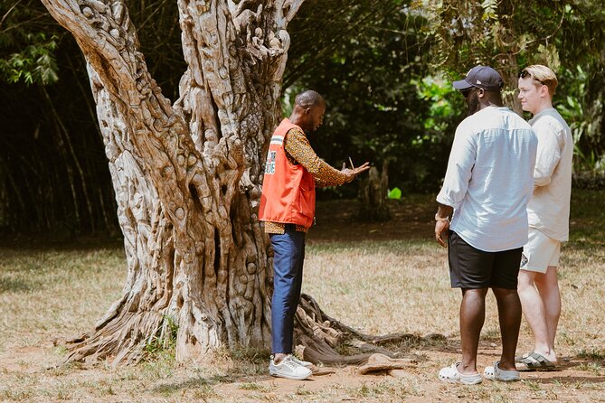 Explore Aburi Botanical Gardens And Boti Falls - The 45-minute walk to Umbrella Rock