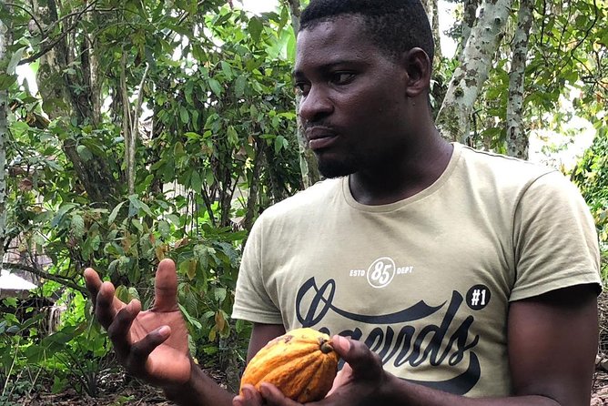 Ghana Eastern Explorer - Boti Falls, Aburi Gardens & Tetther Quarshie Cocoa Farm - Boti Falls and the twin-waterfall story